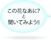 この花なあに？と聞いてみよう！！