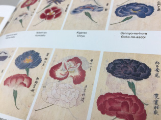 自然史系書籍