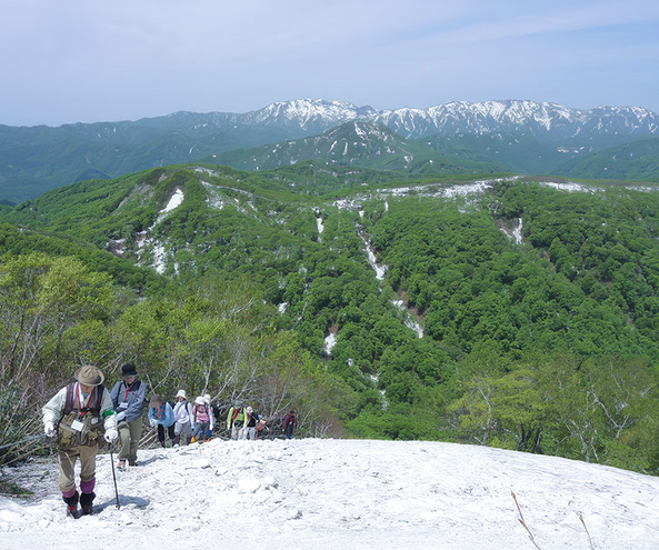 八峰町観光QRガイド